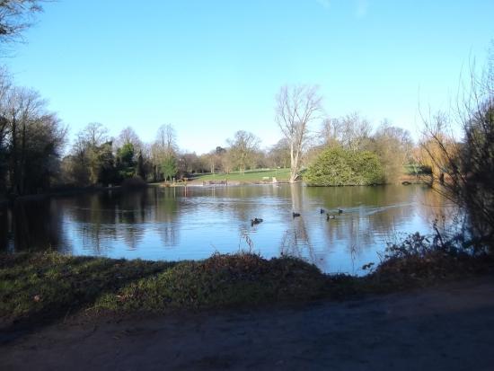 Market Bosworth Country Park